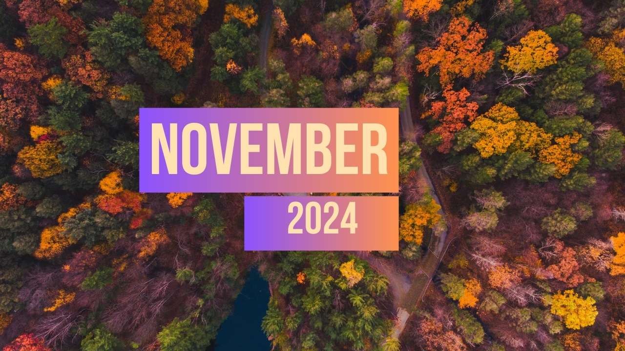 2024 November